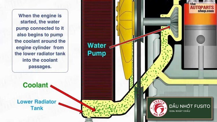 Hệ thống làm mát động cơ là gì? Cấu tạo và cách hoạt động của chúng ra sao? Làm sao để vận hành và bảo dưỡng đúng cách hệ thống này. Hãy cùng phân tích!