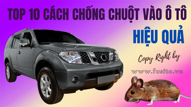 Có cách chống chuột vào xe ô tô nào hiệu quả? Nên dùng thuốc chống chuột hay cách chống chuột vào ô tô bằng bẫy? Cùng hãng Fusito phân tích và làm rõ!