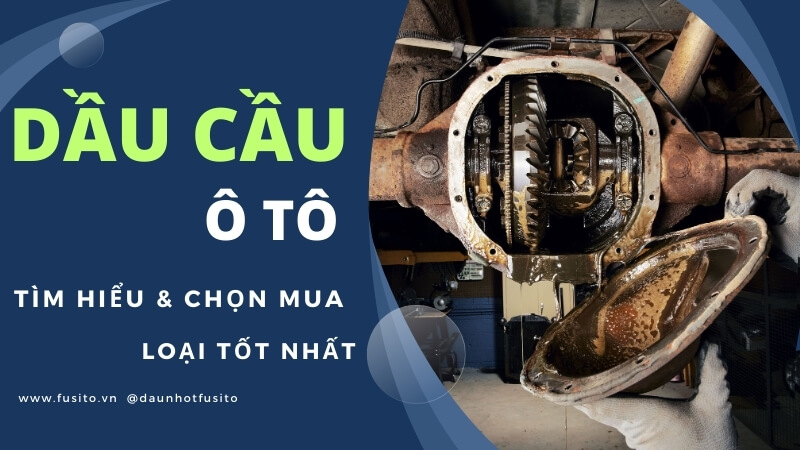 Dầu Cầu Ô Tô: Hướng Dẫn Chọn Mua & Thời Điểm Thay Thế