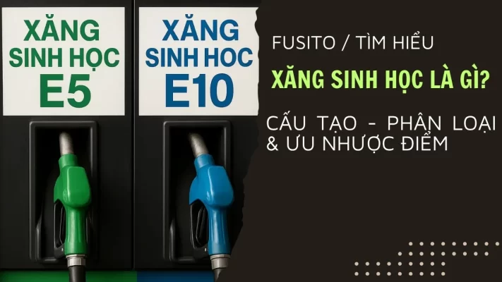 Xăng Sinh Học Là Gì? Giải Mã Tất Tần Tật Về E5, E10 Bạn Nên Biết!