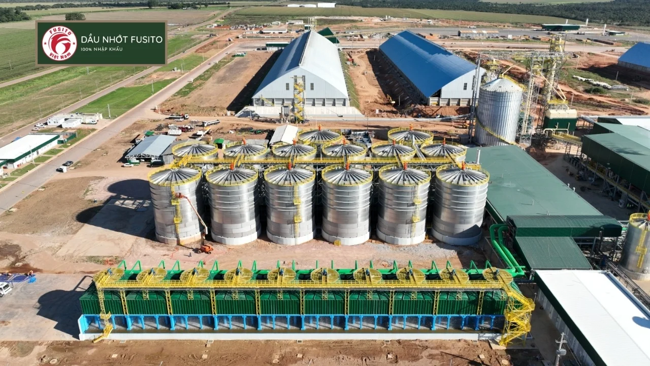 Xăng E10 Là Gì? Những Rủi Ro Và Lợi Ích Mà Tài Xế Phải Biết Rõ!