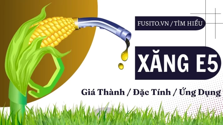 Xăng E5 Là Gì? Có Đủ Sức Thay Thế RON 95? Góc Nhìn Toàn Diện!