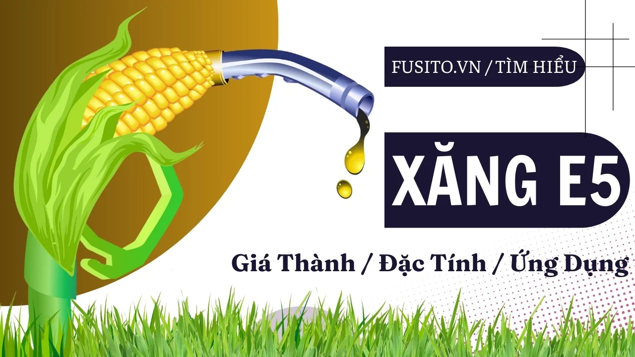 Xăng E5 Là Gì? Có Đủ Sức Thay Thế RON 95? Góc Nhìn Toàn Diện!